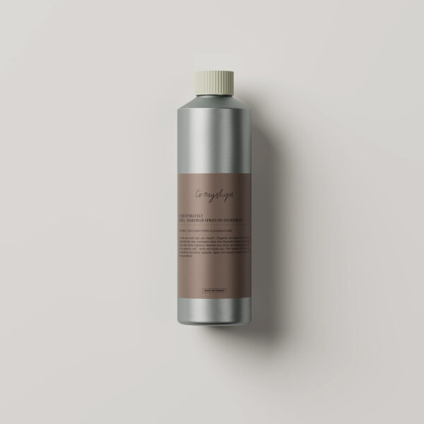 Stand Up Bravely Spray-on Refill 375mL von ToMyShips