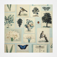 PICTURE BOOK I VON JOHN DERIAN