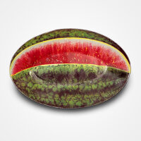 John Derian Watermelon Platter von ASTIER DE VILLATTE